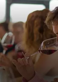 Vignobles de la Vallée du Rhône