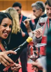 Vignobles de la vallée du Rhône