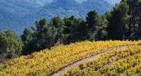 Roaix