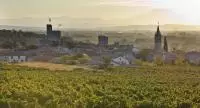 AOC Côtes du Vivarais