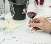 Initiation dégustation et à la découverte des vinifications