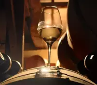 art élevage