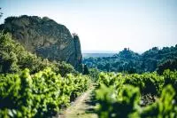 AOC VDN Beaumes de Venise