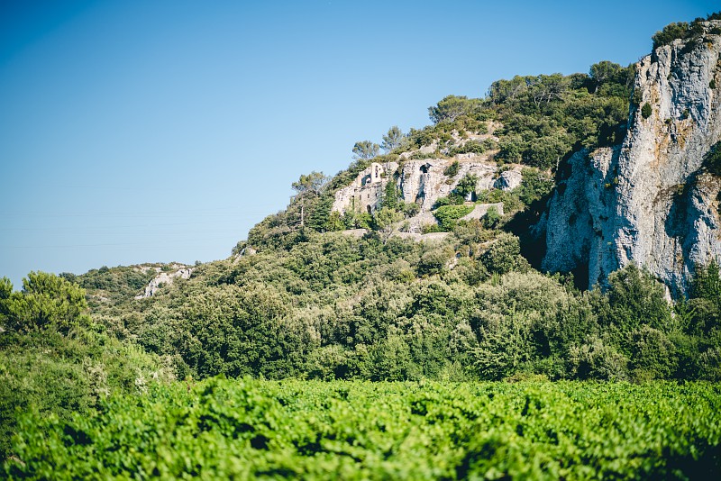 Lirac vignoble de la vallée du Rhône Gard