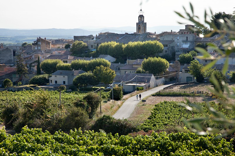 Visan vignoble de la vallée du Rhône Vaucluse