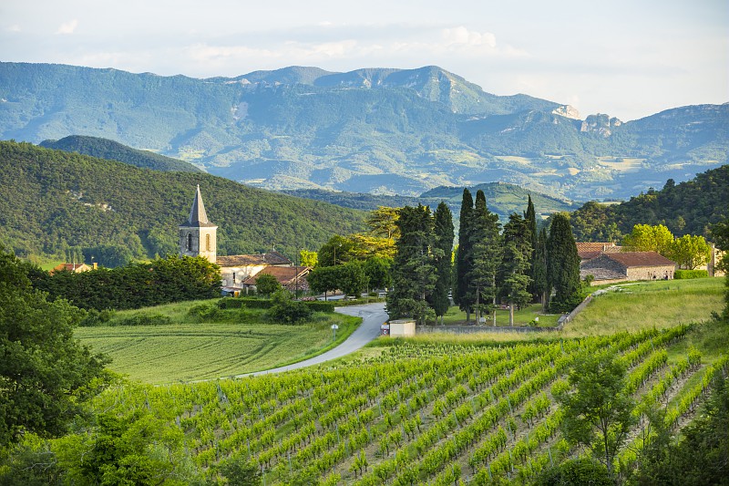 Clairette vignoble de la vallée du Rhône Drôme