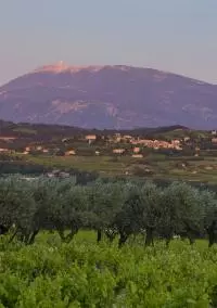 AOC Vallée du Rhône