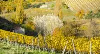 AOC Coteaux de Die