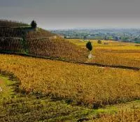 Territoire et terroir