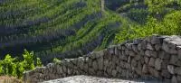 Sols de la Vallée du Rhône