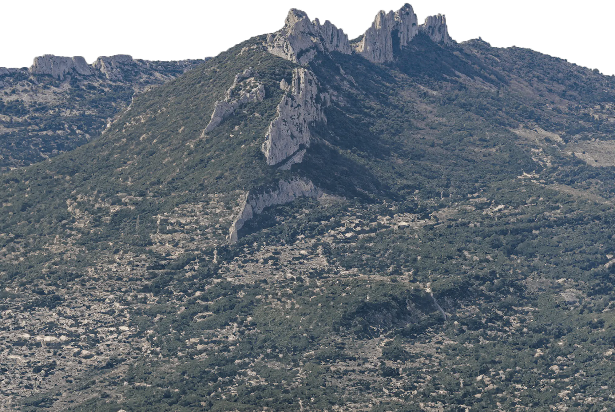 Dentelles
