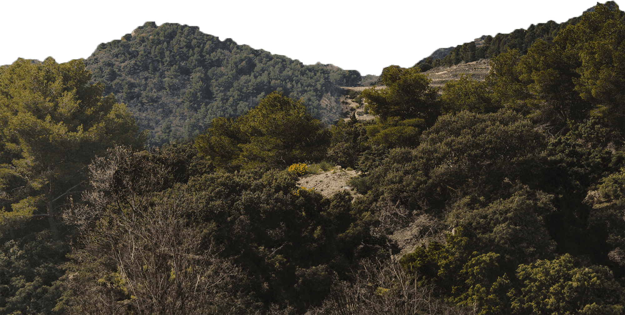 Collines