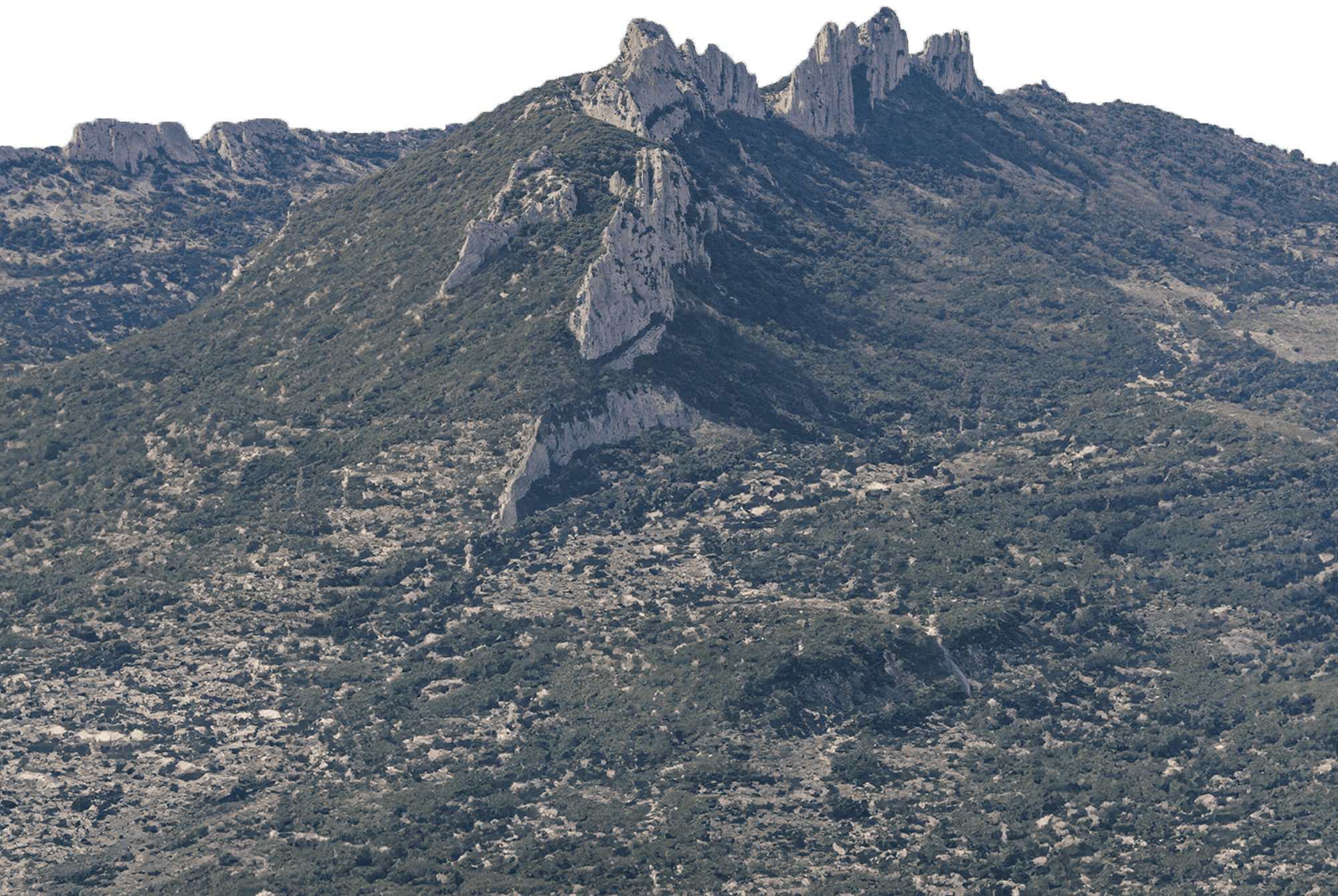 Dentelles